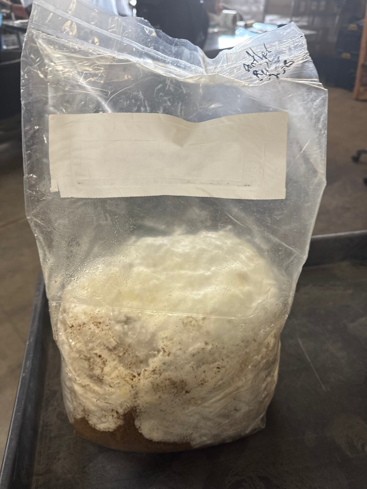 10 lb Inoculated Gourmet + Functional bags