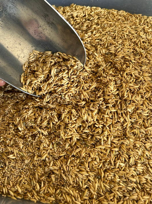3LB NUCO Grain Bag