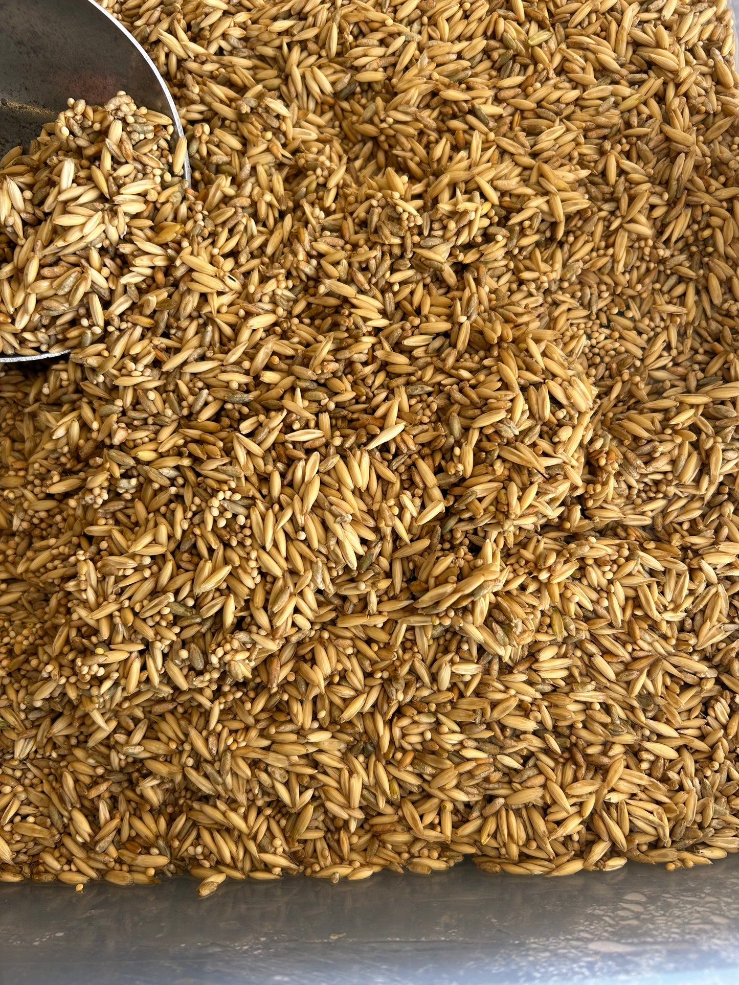 1.5LB NUCO Grain Bag