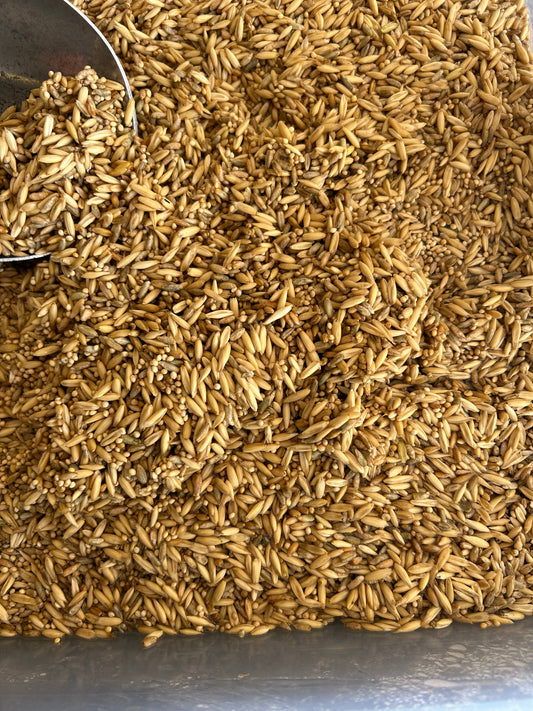 1.5LB NUCO Grain Bag